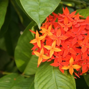 Mexico 7 – The Land of&nbsp;Colours