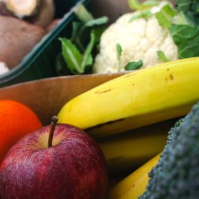 Organic Farms That&nbsp;Deliver