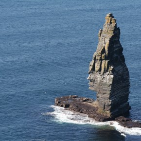 Look at My&nbsp;Face