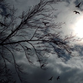 Raison D’être – Being&nbsp;Compulsive