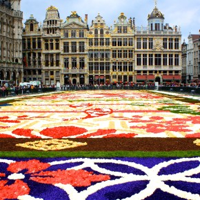 Roll Out the&nbsp;Carpet